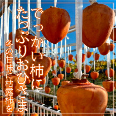 【山梨市産】廃校活用!屋内プールで作った甘～いころ柿【枯露柿】(1箱12個入)【1368224】