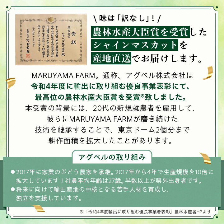 【ふるさと納税】【 訳あり 】 シャインマスカット 2房 1kg ～ 1.5kg 2024年8月下旬より順次出荷予定 _ 訳アリ わけあり 先行予約 山梨 果物 フルーツ 葡萄 ぶどう ブドウ 人気 美味しい 【配送不可地域：離島】【1456435】