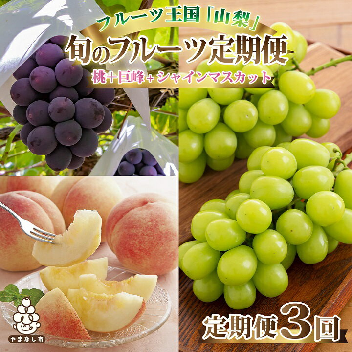 [発送月固定定期便]2027年発送 山梨 旬の果物 桃+種無し黒ぶどう+シャインマスカット 全3回_ フルーツ 果物 くだもの もも ぶどう セット 山梨 定期 産地直送 送料無料 [2025年先行予約][配送不可地域:離島・沖縄県]