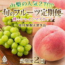 【ふるさと納税】【発送月固定定期便】山梨県産人気果物2種 桃・シャインマスカット定期便 全2回【配送不可地域：離島】【4005775】