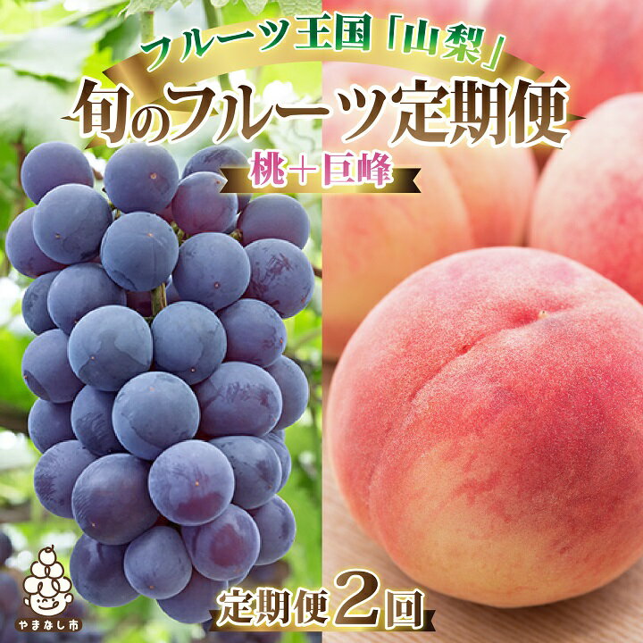 【ふるさと納税】【発送月固定定期便】山梨県産 人気果物2種 桃・種無し巨峰 定期便 全2回【配送不可...