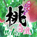 【ふるさと納税】【先行予約 開始】 桃の里 山梨県産 完熟桃