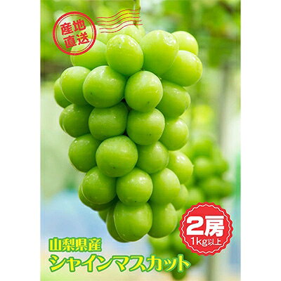 山梨市産シャインマスカット2房(1Kg以上)【配送不可地域：離島】【1269963】