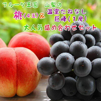 【人気】山梨の桃と種無し巨峰の詰め合わせセット(桃:4玉/種無し巨峰:1房)【配送不可地域：離島】【1297200】
