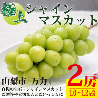 32位! 口コミ数「6件」評価「4.33」生産者直送　山梨市『万力』極上シャインマスカット2房　計1kg～1.2kg程度【配送不可地域：離島】【1137178】