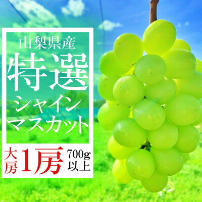 【ふるさと納税】山梨県山梨市産　特選　旬の採れたてシャインマ