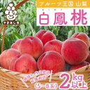 【ふるさと納税】山梨県産 桃 白鳳 2kg以上(5～8玉) ふるさと納税【配送不可地域：離島】【1137260】