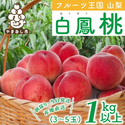 山梨県産 桃 白鳳 1kg 以上 (3～5玉) _ ふるさと納税 もも モモ フルーツ 果物 旬 くだもの はくほう ピーチ ふるさと 産地直送 山梨県 山梨市 山梨 人気 美味しい 【配送不可地域：離島・沖縄】【1137259】