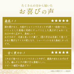 【ふるさと納税】【果物】山梨産シャインマスカット 2房(約1kg) ぶどうで有名なフルーツ王国山梨県からお届け【配送不可地域：離島、沖縄県】【1017347】･･･ 画像1