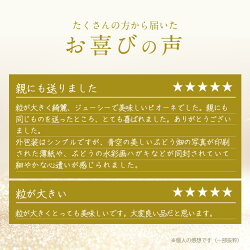 【ふるさと納税】【2023年先行受付】ぶどうの里より　特選「ピオーネ(種なし)」2房【配送不可地域：離島・沖縄県】【1021829】 画像1