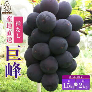 【ふるさと納税】巨峰 約1.5kg / 約2kg ( 3〜4房 / 4〜5房 ) 銀河農園まきおか 甘くてジューシー 巨峰 ( 種なし )_ ふるさと納税 ふるさと ぶどう ブドウ 葡萄 フルーツ 果物 くだもの 山梨県 山梨市 山梨 送料無料【配送不可地域:離島】【G1111660】