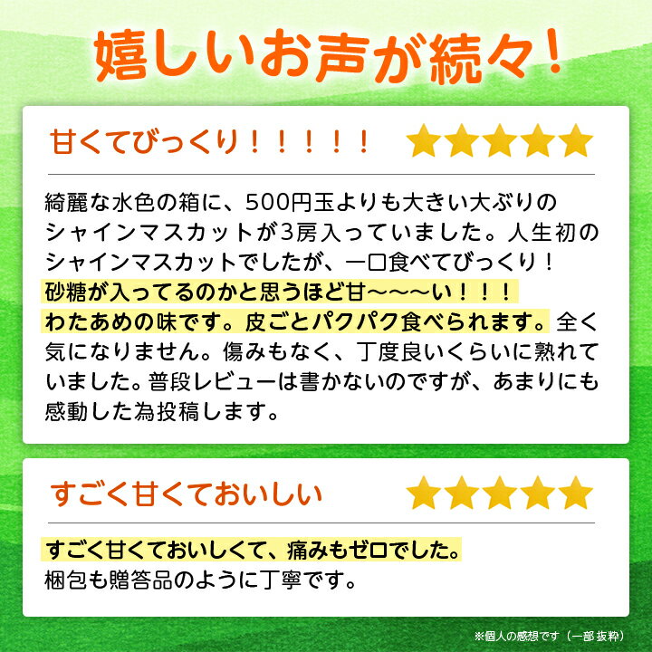 【ふるさと納税】山梨県山梨市産　旬の採れたてシャインマスカット　秀等品 約1.2kg/1.5kg/1.8kg/5kg_ ふるさと納税 ふるさと マスカット ぶどう ブドウ 葡萄 フルーツ 果物 くだもの 山梨 人気 送料無料【配送不可地域：離島・沖縄県】【G1134846】