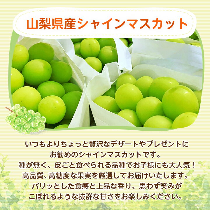 【ふるさと納税】山梨県山梨市産　旬の採れたてシャインマスカット　秀等品 約1.2kg/1.5kg/1.8kg/5kg_ ふるさと納税 ふるさと マスカット ぶどう ブドウ 葡萄 フルーツ 果物 くだもの 山梨 人気 送料無料【配送不可地域：離島・沖縄県】【G1134846】