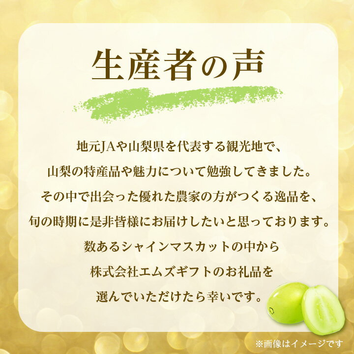 【ふるさと納税】大人気!山梨のシャインマスカット2～3房　1.1kg以上 ふるさと納税【配送不可地域：離島】【1274436】