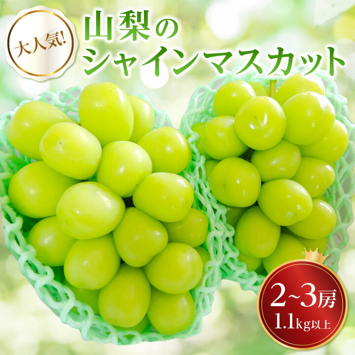 【ふるさと納税】大人気!山梨のシャインマスカット2～3房　1.1kg以上 ふるさと納税【配送不可地域：離島】【1274436】