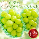 【ふるさと納税】大人気!山梨のシャインマスカット2～3房　1.1kg以上 ふるさと納税【配送不可地域：離島】【1274436】