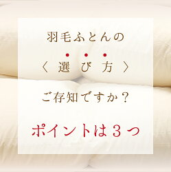 【ふるさと納税】羽毛布団【ダブル】合掛　イングランド産ホワイトダウン90％1000g立体キルトDP360【H-16】※着日指定不可※離島への配送不可 画像1