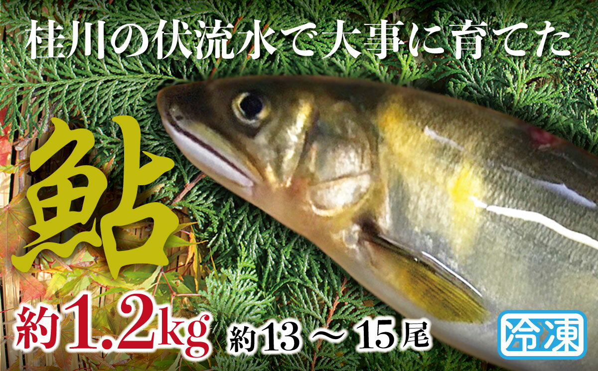【ふるさと納税】山梨県産 桂川の冷凍あゆ 約1.2kg(約13〜15尾)
