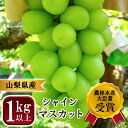 1位! 口コミ数「7件」評価「3.43」山梨県産 シャインマスカット 2房 1kg 以上　【農林水産大臣賞受賞】※2024年9月から発送