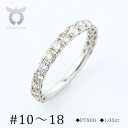 【ふるさと納税】プラチナ 900 ダイヤモンドリング 1.0ct PT900 ハーフエタニティ レディース 指輪 ジュエリー アクセサリー【サイズ10号-18号...