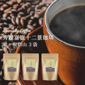 【ふるさと納税】秀麗富嶽十二景珈琲【雁ヶ腹摺山】×3袋|珈琲豆 コーヒー 厳選 ギフト 贈答