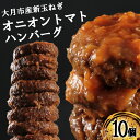 9位! 口コミ数「0件」評価「0」【先行予約】たっぷり！総重量1.7kg！オニオントマトソースハンバーグ（10個セット）