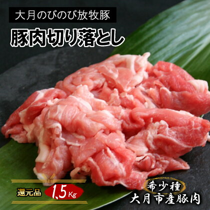 自然の中で飼育された 希少豚 大月のびのび放牧豚の切り落とし肉 1.5kg以上 300g×5パック