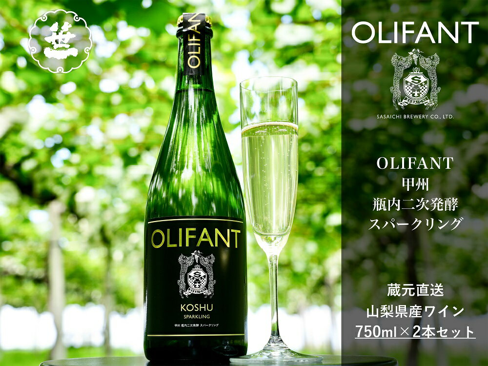 【ふるさと納税】【山梨ワイン】蔵元直送「OLIFANT甲州瓶内二次発酵スパークリング750ml×2本セット」