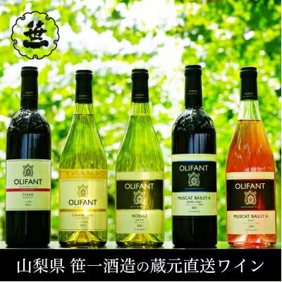 18位! 口コミ数「0件」評価「0」【蔵元直送】笹一酒造のOLIFANT(オリファン)ワイン おすすめ5本セット