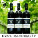 27位! 口コミ数「0件」評価「0」【蔵元直送】笹一酒造のOLIFANT(オリファン)ワイン＜赤＞3本セット