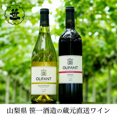 【ふるさと納税】【蔵元直送】笹一酒造のOLIFANT(オリフ