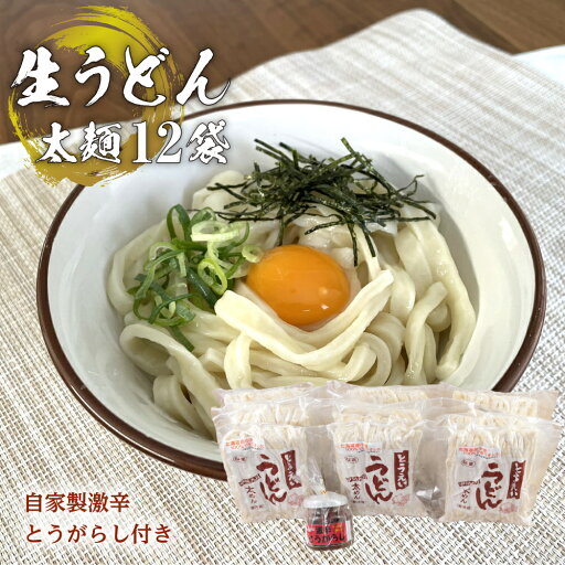【ふるさと納税】生うどん太麺12袋セット 自家製激辛とうがらし付き 【ふるさと納税】生うどん太麺12袋セット 自家製激辛とうがらし付き