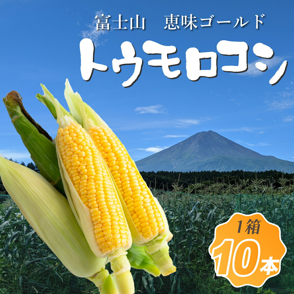【ふるさと納税】【先行予約】富士山 恵味ゴールド トウモロコシ 10本