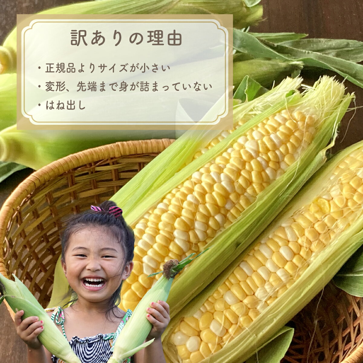 山梨県大月市の画像3