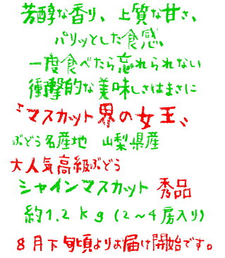 【ふるさと納税】【先行予約】【大人気】山梨県産 厳選シャインマスカット 秀品 約1.2kg※北海道・沖縄・その他離島への発送不可※2020年8月下旬〜10月上旬頃に順次発送予定