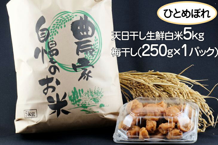 【ふるさと納税】令和3年産　山梨県大月市産ひとめぼれ　天日干し生鮮白米5kgと梅干し...