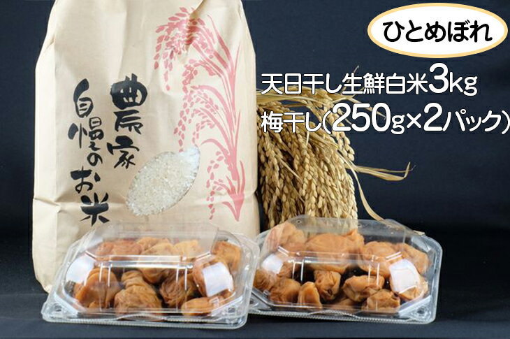 【ふるさと納税】令和3年産　山梨県大月市産ひとめぼれ　天日干し生鮮白米3kgと梅干し...