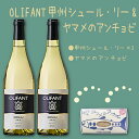 23位! 口コミ数「0件」評価「0」笹一酒造OLIFANT甲州シュール・リー2本&こすげ村源流工房ヤマメのアンチョビ1パックセット｜ 国産ワイン 白ワイン セット おつまみ ヤ･･･ 