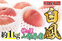 【ふるさと納税】【先行予約】 山梨の完熟桃 白鳳系 約1kg