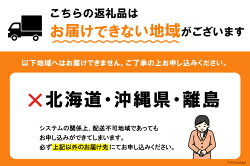 【ふるさと納税】【先行受付】シャインマスカット一房 [梨北農業協同組合 山梨県 韮崎市 20741948] ぶどう ブドウ 葡萄 フルーツ 果物 画像1