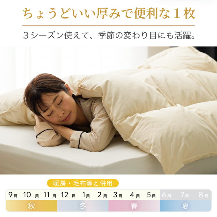 【ふるさと納税】 【春秋用】 羽毛布団 シング...の紹介画像3