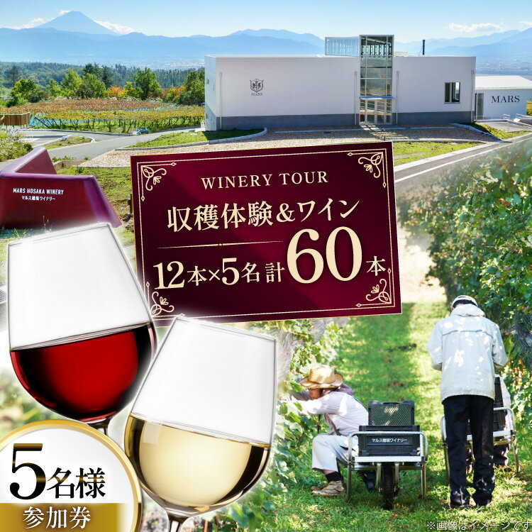 【ふるさと納税】ワイン 収穫体験＆ワインセット 12本×5名 計60本 5名様 参加券 ワイナリー [本坊酒造マルス穂坂ワイナリー 山梨県 韮崎市 20745172]