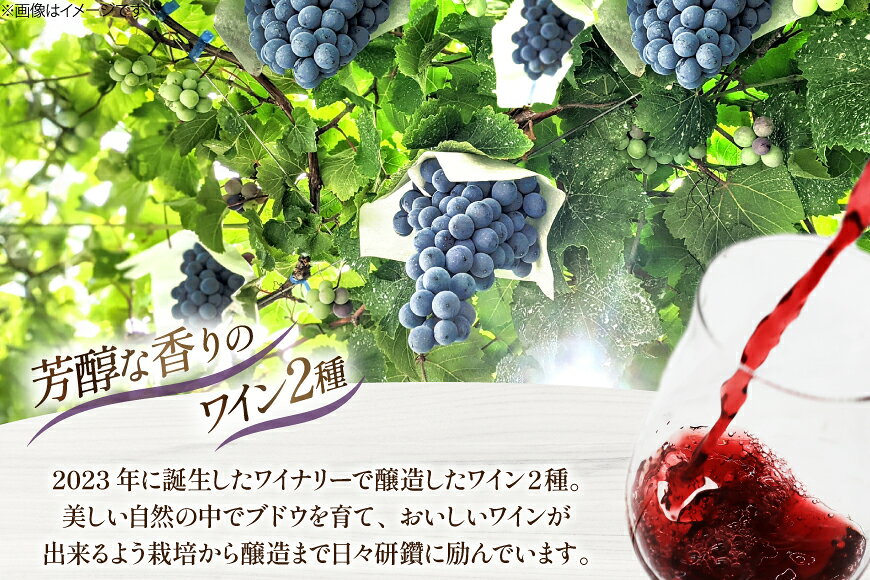 【ふるさと納税】 ワイン シャインマスカット醸しワイン 樽熟成赤ワインセット 750ml x 2本 [Creation farm 山梨県 韮崎市 20745402] 飲み比べ 飲み比べセット 山梨 ワイン わいん wine シャインマスカット 赤ワイン 赤 お酒 酒 甘口 洋酒