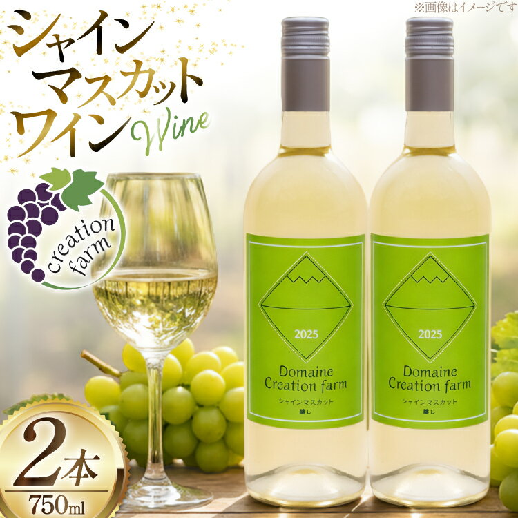 Rakuten - 【ふるさと納税】 ワイン シャインマスカット醸しワイン 750ml × 2本 [Creation farm 山梨県 韮崎市 20745403] わいん wine 山梨 山梨ワイン シャインマスカット ワインセット セット お酒 酒 さけ 甘口 洋酒