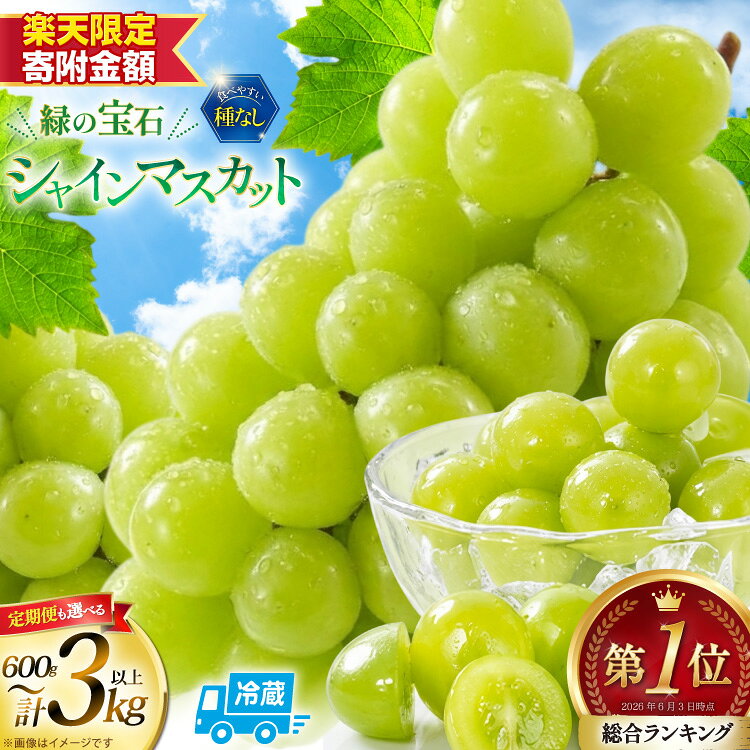 総合ランキング1位 高評価★5.0 シャインマスカット 先行予約 1kg 2kg 3kg 定期便 選べる容量 訳あり ふるさと納税 フルーツ [山梨県 韮崎市 20745480 REGALO] シャインマスカット マスカット ふるさと納税 ギフト 山梨県産 ぶどう 果物 ブドウ ◎