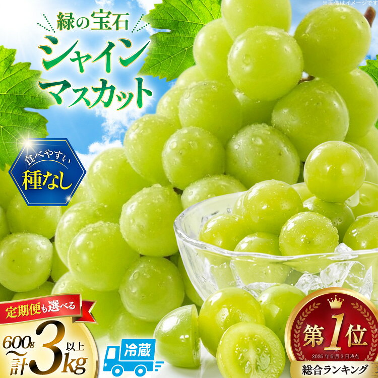 総合ランキング1位 高評価★5.0 シャインマスカット 先行予約 1kg 2kg 3kg 定期便 選べる容量 訳あり ふるさと納税 フルーツ [山梨県 韮崎市 20745480] シャインマスカット マスカット ふるさと納税 ギフト 山梨県産 ぶどう 果物 ブドウ