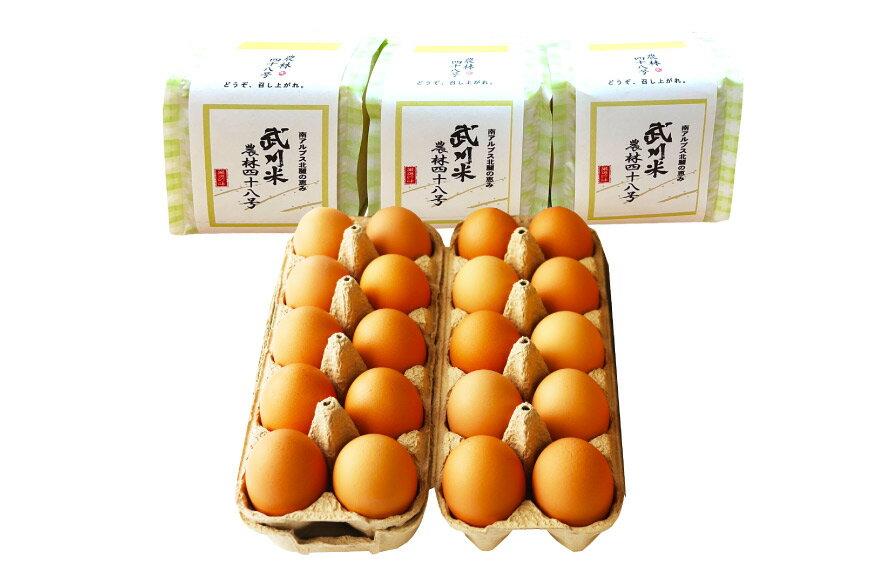 【ふるさと納税】 卵 こだわりの卵かけご飯 セット 穂坂のあかたま 10個 2パック ...