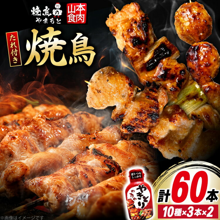 焼き鳥 たれ付き 焼鳥 10種 30本 2セット 計60本 [山本食肉有限会社 山梨県 韮崎市 20745491] タレ たれ やきとり セット 焼き鳥セット 冷凍 便利 串 ねぎま もも 鳥皮 つくね ぼんじり 砂肝 軟骨 ハツ 手羽先 豚バラ