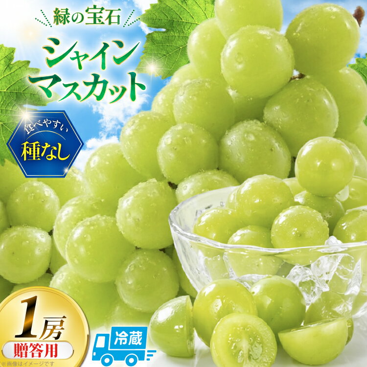 [2026年発送] シャインマスカット 先行予約 贈答用 1房 600g 以上 [REGALO 山梨県 韮崎市 20745495] シャイン マスカット ブドウ ぶどう 葡萄 フルーツ 果物 くだもの 旬 山梨 ギフト 贈り物 フルーツギフト 贅沢 ご褒美 ふるさと納税