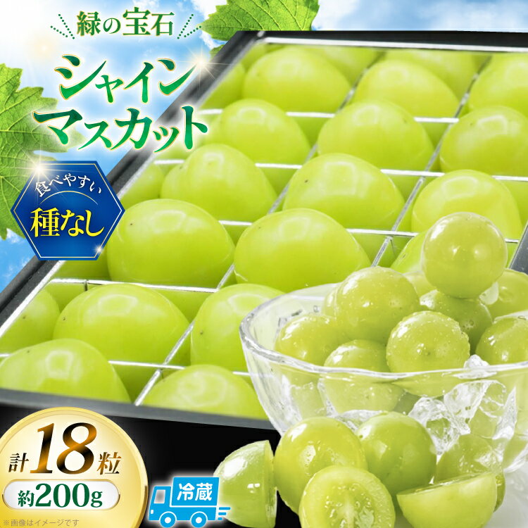 [2026年発送] シャインマスカット 先行予約 ひと口 BOX 18粒入り 約 200g [REGALO 山梨県 韮崎市 20745496] シャイン マスカット ブドウ ぶどう 葡萄 フルーツ 果物 くだもの 旬 山梨 ギフト 贈り物 フルーツギフト 贅沢 ご褒美 ふるさと納税